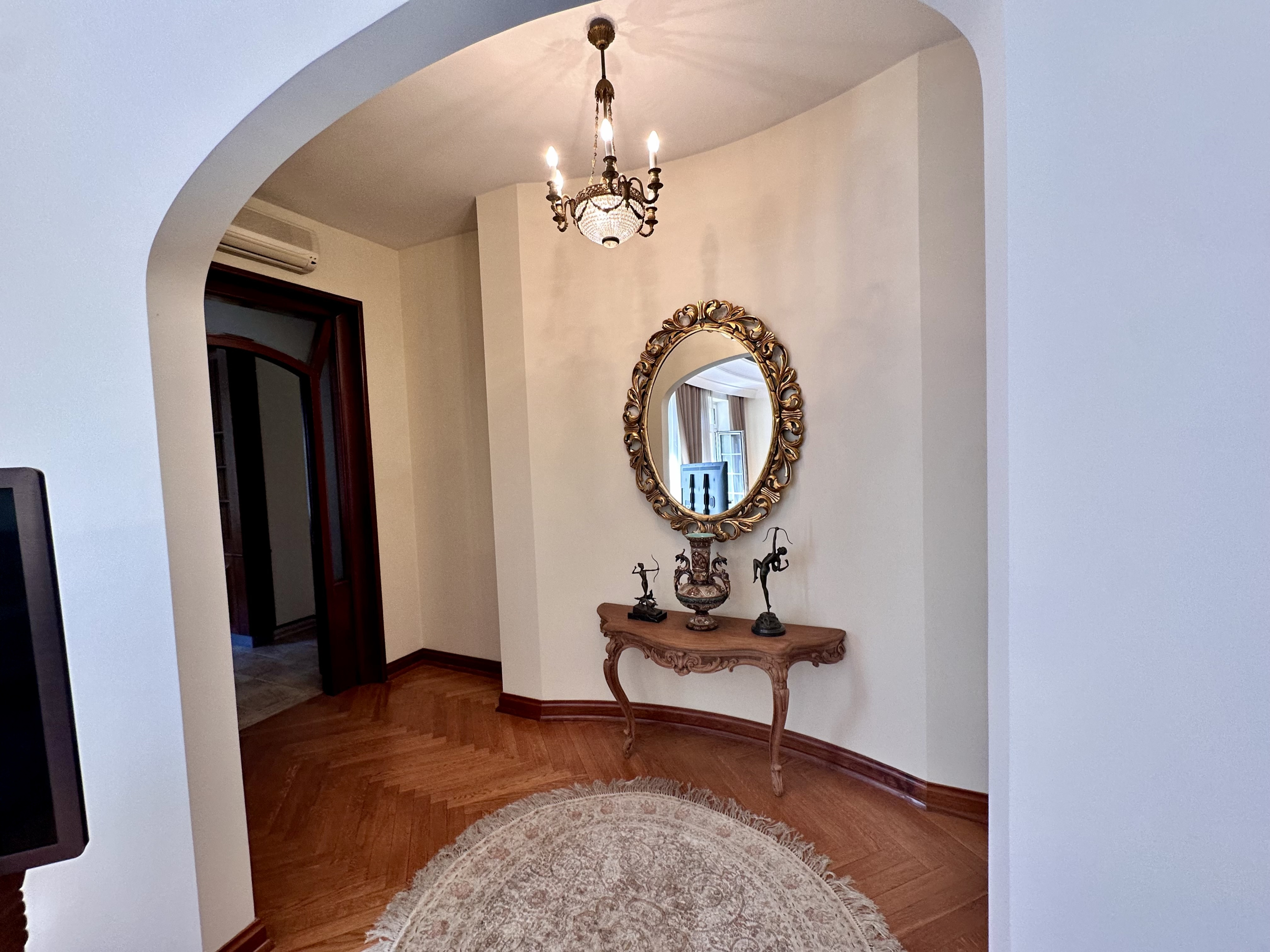 IMG_4721 Resavska ulica | Salonski stan 220 m² | Vanvremenski